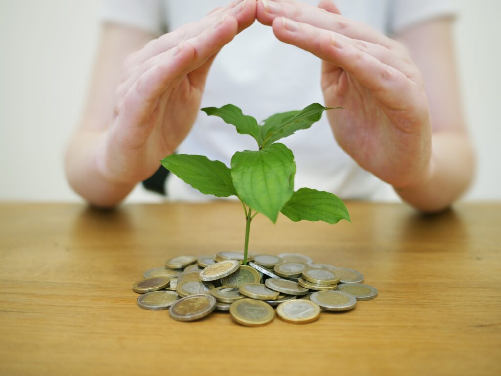 Dividend Stock